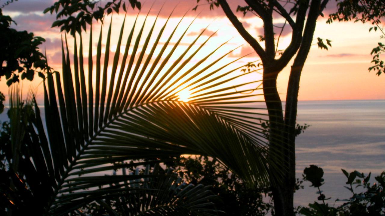 Bed and Breakfast Nature'S Paradise Маригот-Бэй Экстерьер фото